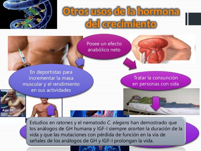 hormona del crecimiento para masa muscular