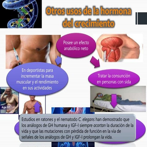 Otros usos de la hormona del crecimiento