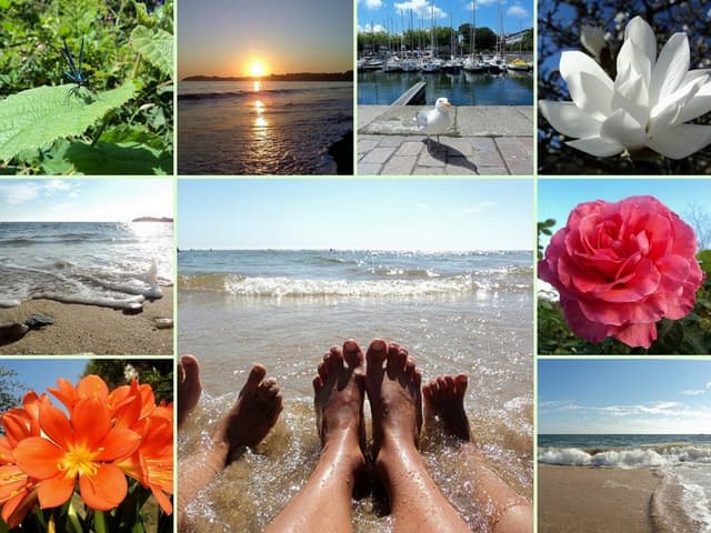 Bonheur grignoté au soleil - Bonne année 2012 ! ♪ღ♪♫•* 