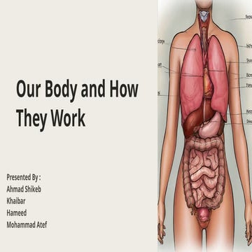 Body systems and homeostasis | PPT
