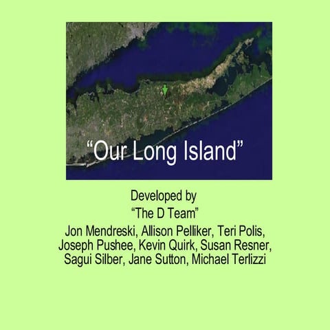 Our Long Island D Team