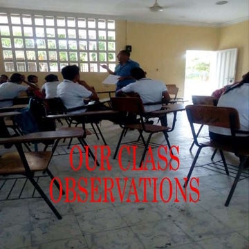 Our class observations 