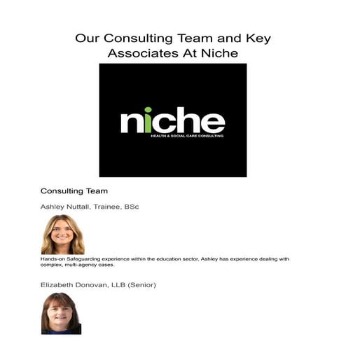 Our Consulting Team and Key Associates At Niche | PDF