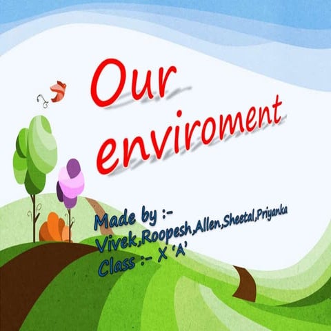 Our enviroment