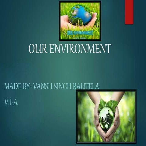 Our environment