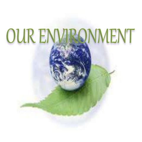 Our environment
