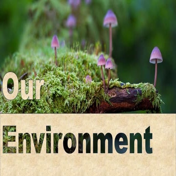 Our Environment - Ecosystems, Interdependce of Food Chains And Food ...