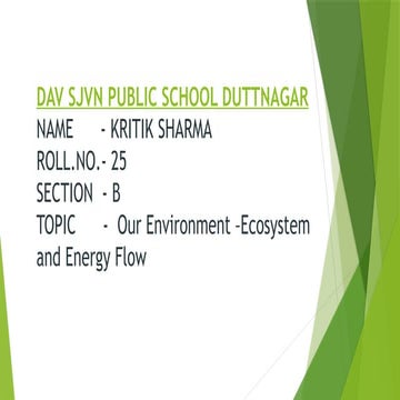 Our Environment - Ecosystems and Energy Flow.pptx