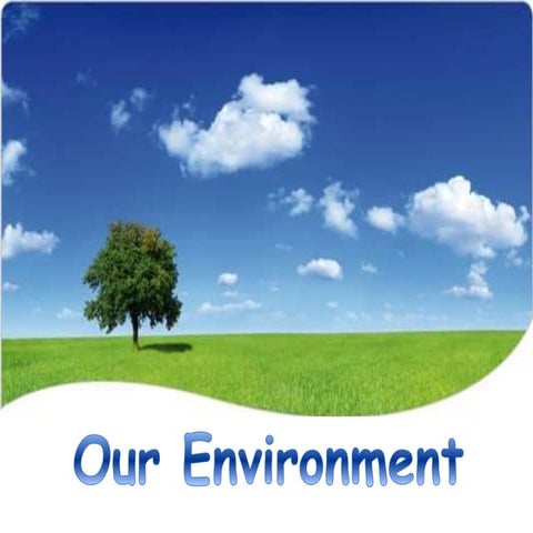 Our environment (shravan and diraj)