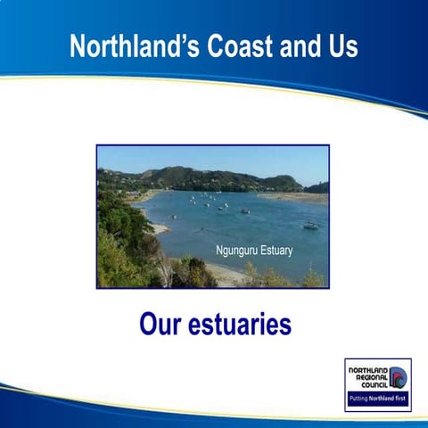 Our estuaries