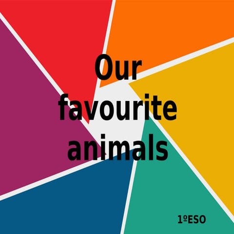 Our favourite animal