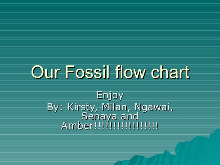 Fossil Flow Chart