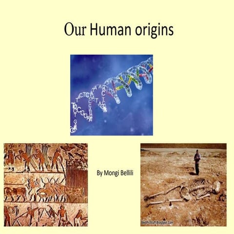 Our human origins