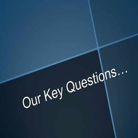 Our key questions