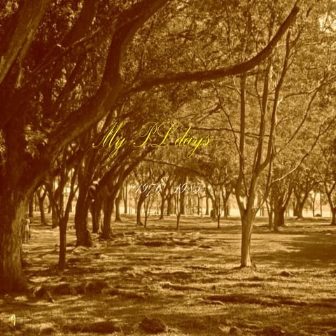 My PL days 1976 to 1985