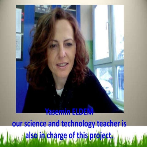 Our school | PPTX
