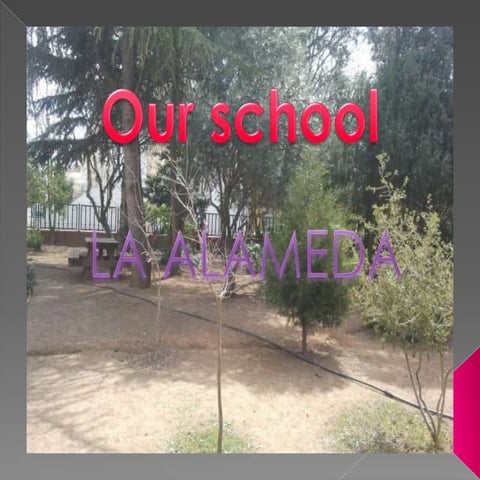 Ourschool