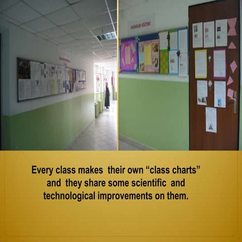 Our school | PPTX