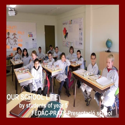 school life by year 5