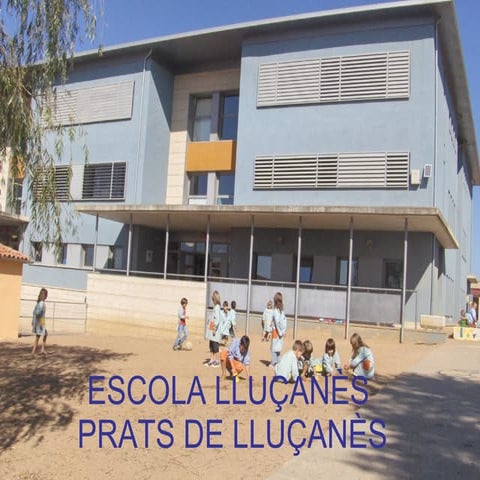 Our school lluçanes