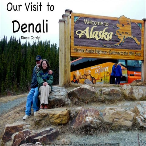 Our trip to denali national park