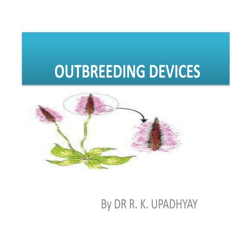 Out breeding devices .pptx.pdf Class XII