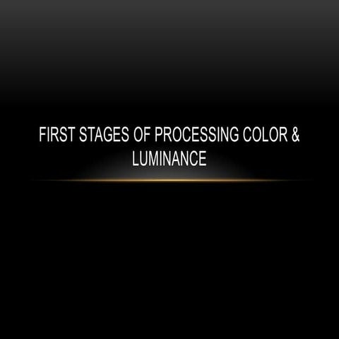 Understanding Color and Luminance Processing in Human Vision | PDF
