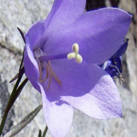 Outragious generosity