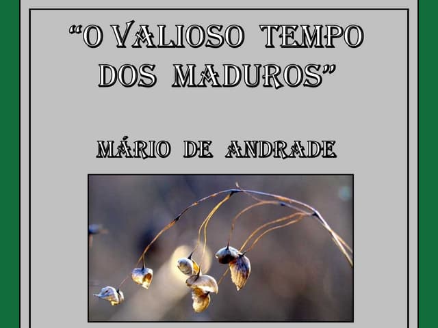 O valioso tempo dos maduros - Mario...