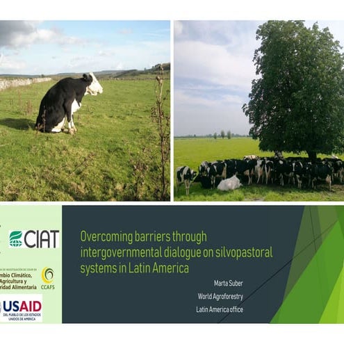 Overcoming barriers through intergovernmental dialogue on silvopastoral syste...