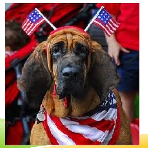 OVERCOMING DYSLEXIA A STRAIGHT-FORWARD GUIDE FOR FAMILIES AND TEACHERS