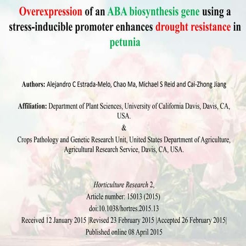 Overexpression of an ABA biosynthesis gene using astress-inducible promoter enhances drought resistance in petunia