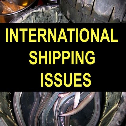 International Shipping Issues