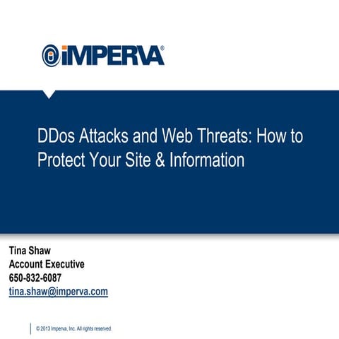 DDos Attacks and Web Threats: How to Protect Your Site & Information