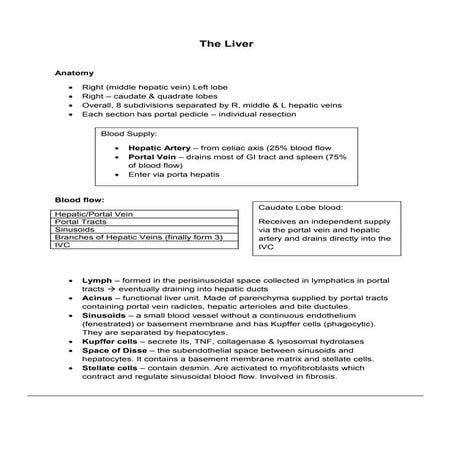 Overview of the Liver