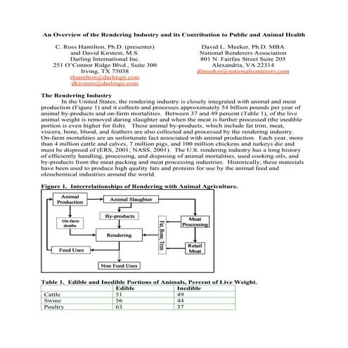Overview of-the-rendering-industry-pdf