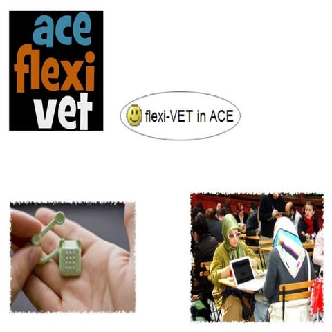 Overview, of the "flexivet" in ACE project, Melbourne 2009.