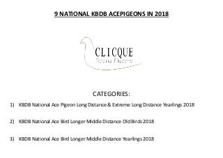 Gino Clicque (Wevelgem) kbdb acepigeons 2018 & national results