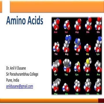 Overview of amino acids