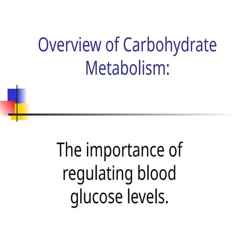 Overview of Carbohydrate Metabolism.ppt t