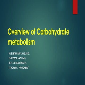 Overview of carbohydrate metabolism.pptx