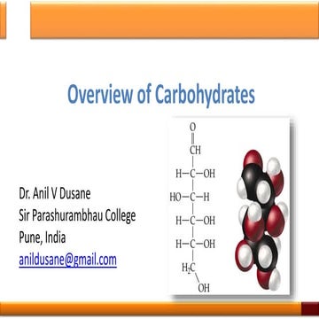 Overview of Carbohydrates
