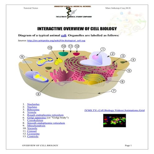IVMS-OVERVIEW OF CELL BIOLOGY