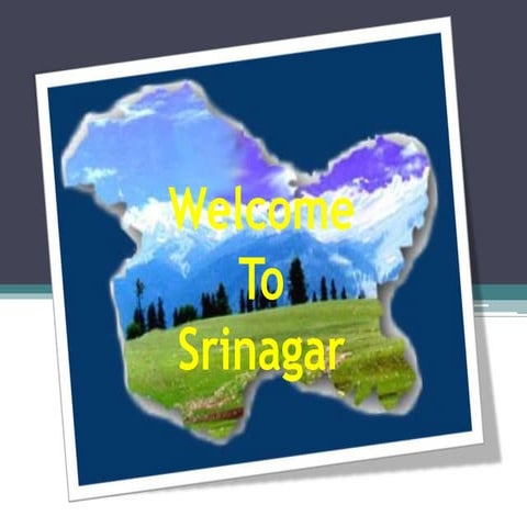 Overview of city srinagar