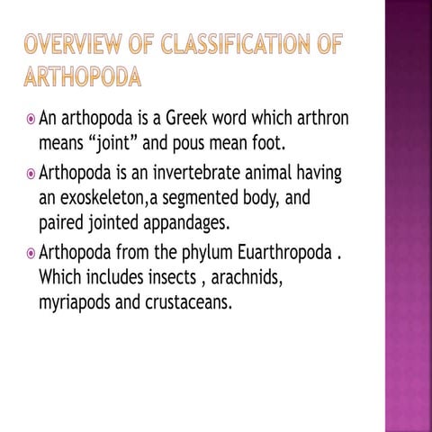 Overview of classification of arthopoda | PPT