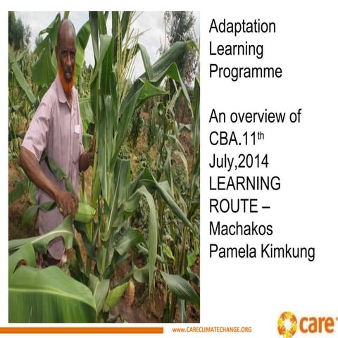 Overview of community based Adaptation Learning Programme_NRM Learning Route_...