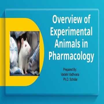 Overview of Experimental Animals in Pharmacology.pptx