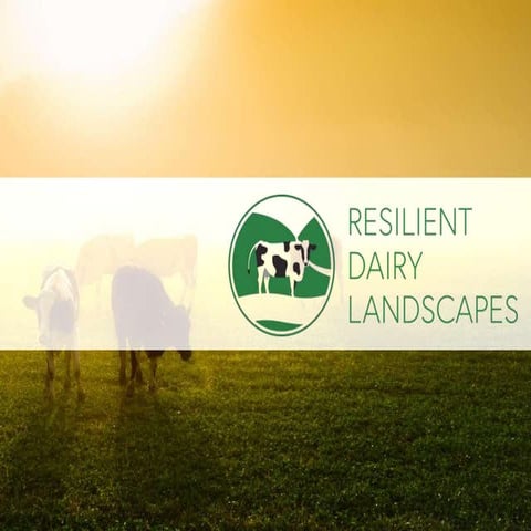 Resilient Dairy Landscapes: key findings