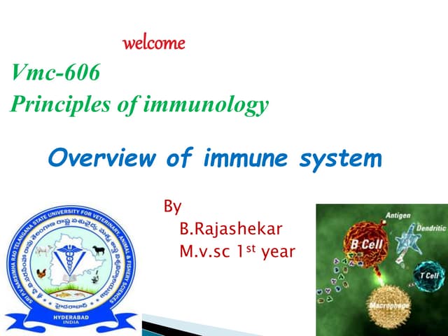 Overview of immune response