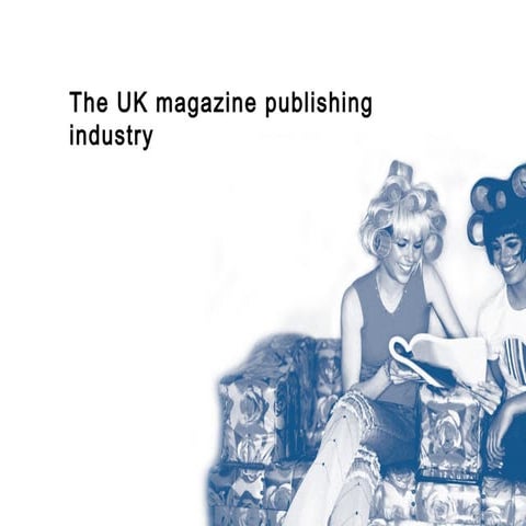 Overview ofmags industry07